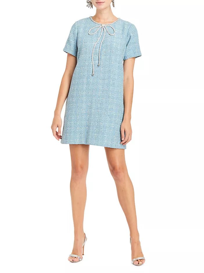 Ainslee Mini Dress - Frock Shop