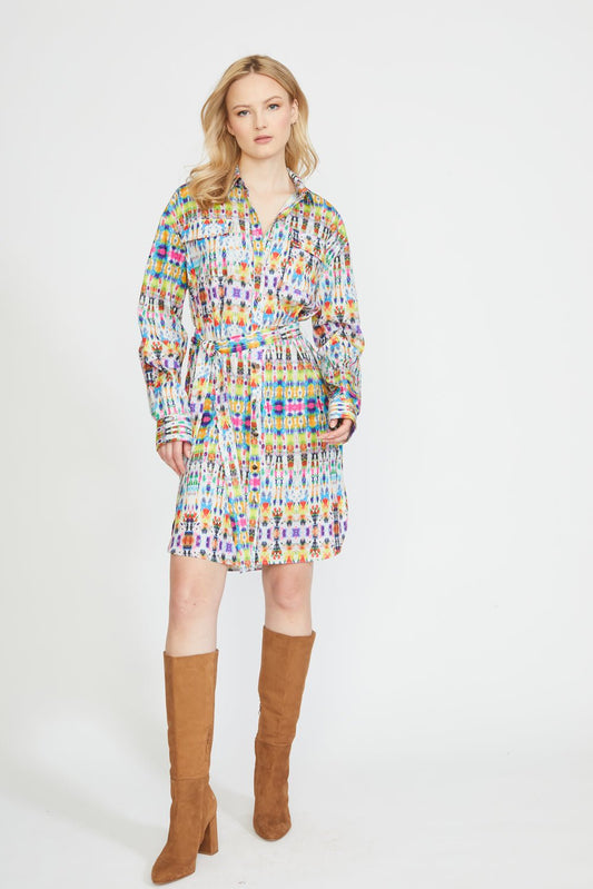 Button Down Dress - Frock Shop